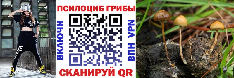 Галлюциногенные грибы Cubensis  Покачи 